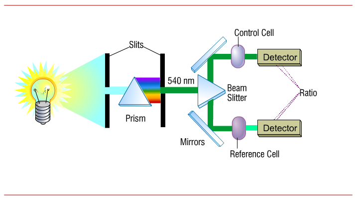 A diagram represents the operation of a spectrophotometer. From left to right, a light bulb emits light that is transmitted between two slits to a triangular prism, through which the light is divided into different wavelengths. Only the 540 nm wavelength light is transmitted through a second set of slits to a triangular beam slitter, where it is redirected to two mirrors, one above directing the light to a control cell and the other below directing the light to a reference cell. The light passes through the control cell to a detector unchanged. The light that passes through the reference cell changes color before reaching the detector. Result is the ratio of the values detected by the two detectors.
